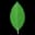 MongoDB